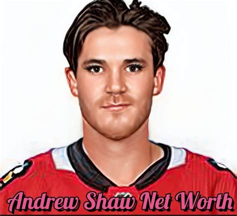 andrew shaw net worth|Andrew Shaw (ice hockey)